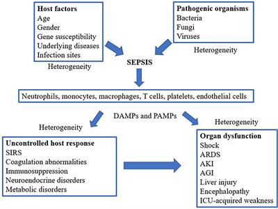 Evaluation of the Molecular Mechanisms of Sepsis Using Proteomics